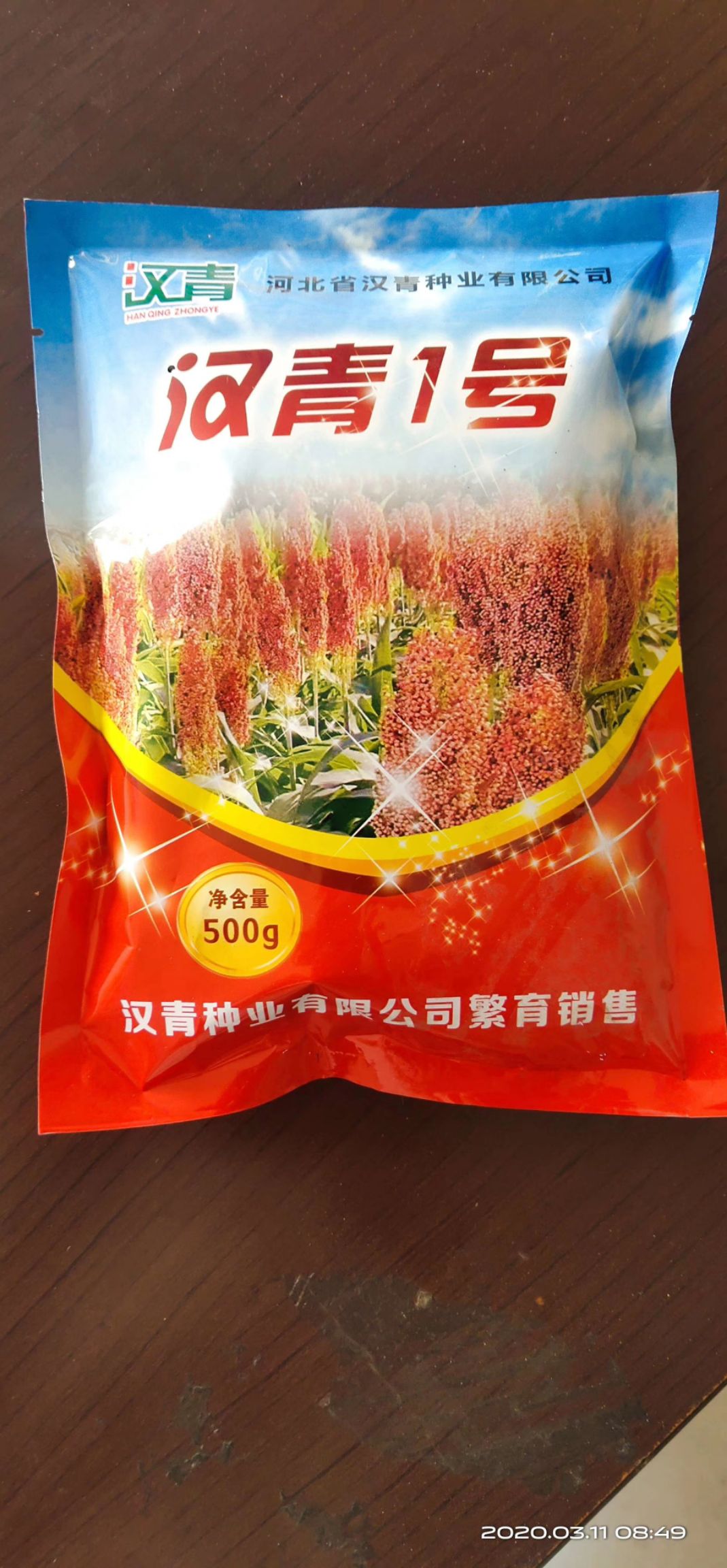 高粱种子  汉青1号