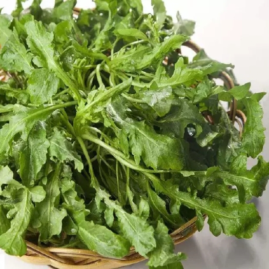 翼城县薇菜 浆水菜翼城甘泉美食