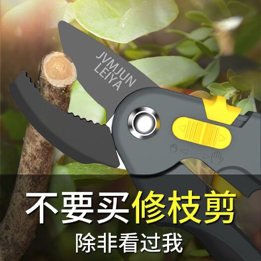杭州修枝剪刀 园林园艺剪刀家用剪花枝修剪树枝剪刀果枝剪修花剪刀修枝剪
