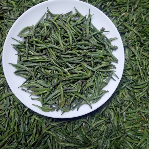 成都炒青茶 2020年雀舌芽尖春茶250克