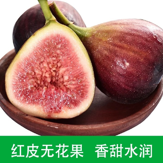灵山县波姬红无花果苗  蜜甜好吃皮薄当年种当年结果易管理种植