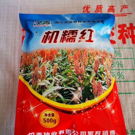 青縣高粱種子 機(jī)糯紅