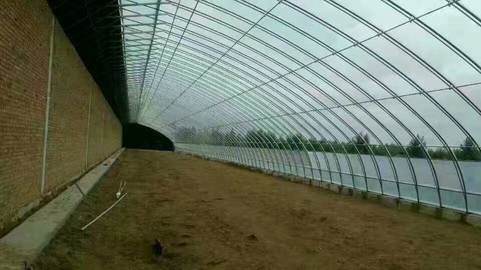 塑料薄膜温室大棚 哈尔滨简易温室大棚搭建安装