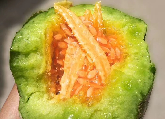  羊角蜜甜瓜