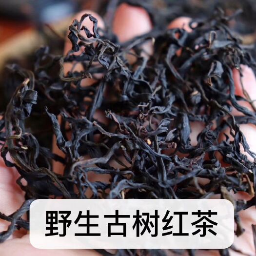 思茅野生红茶  百年野生古树红茶  无量山