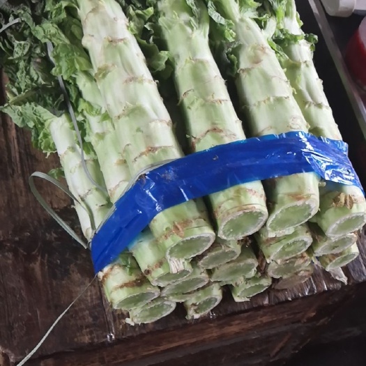 广州红叶莴笋  每天求购30吨紫叶香莴笋