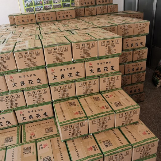 安丘市 人工精选花生种子