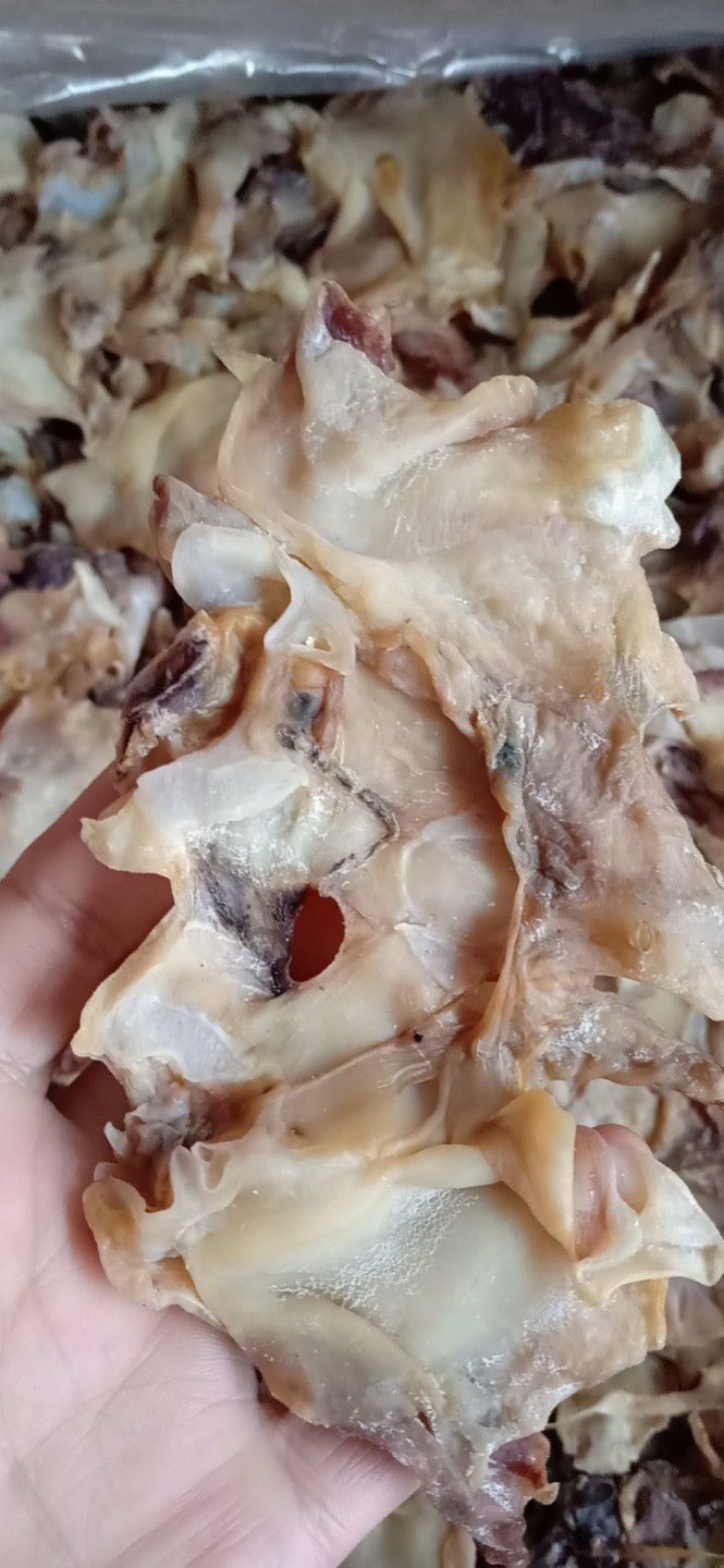 东海鱿鱼  鱿鱼干鱿鱼头颈微咸的