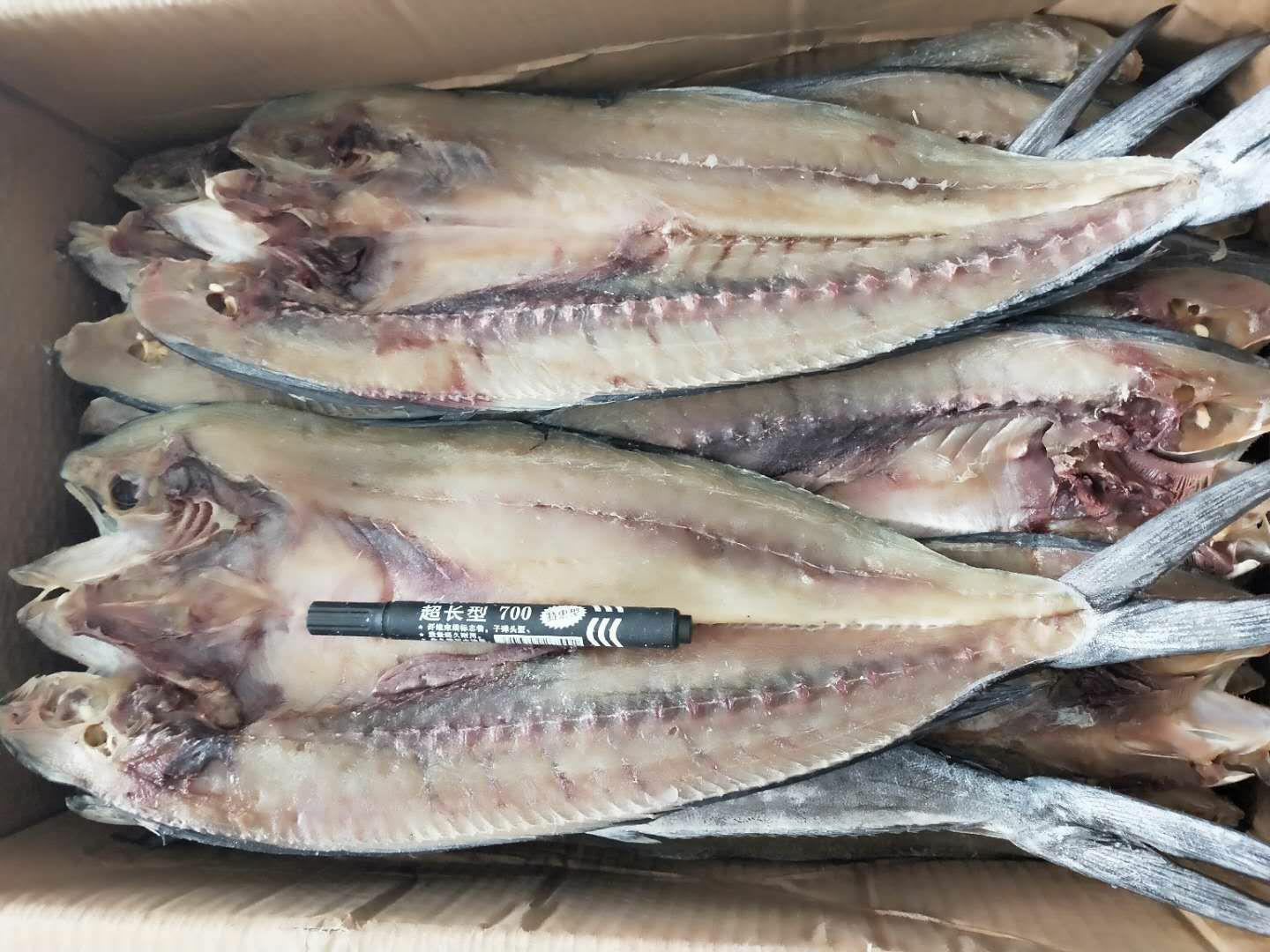 滨州刀鲅鱼，腌制咸鱼，