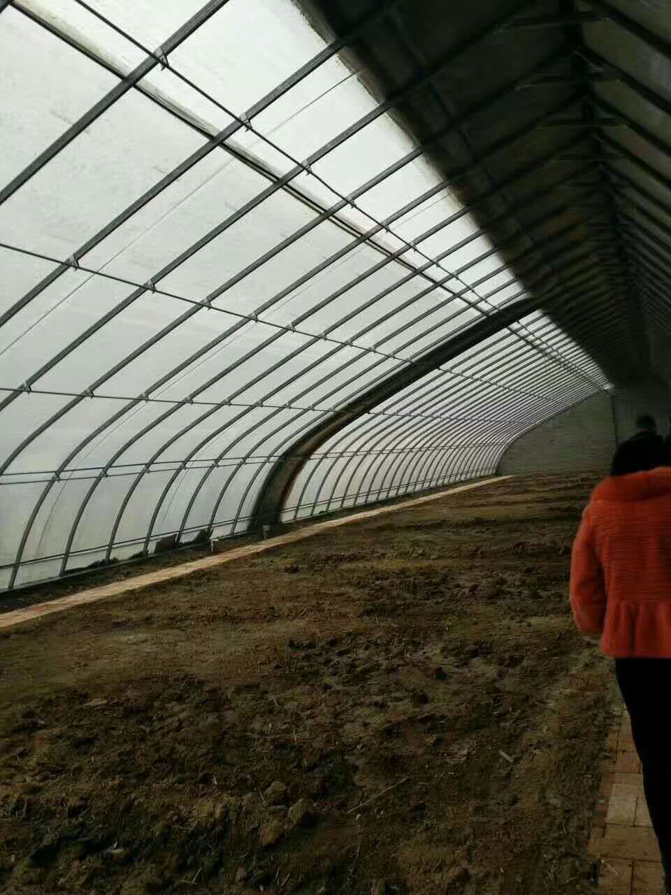 塑料薄膜温室大棚 哈尔滨简易温室大棚搭建安装