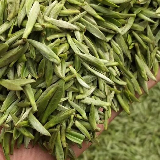 雅安蒙顶甘露 2020新茶，蒙顶山手工，还有其他的品种（图二）