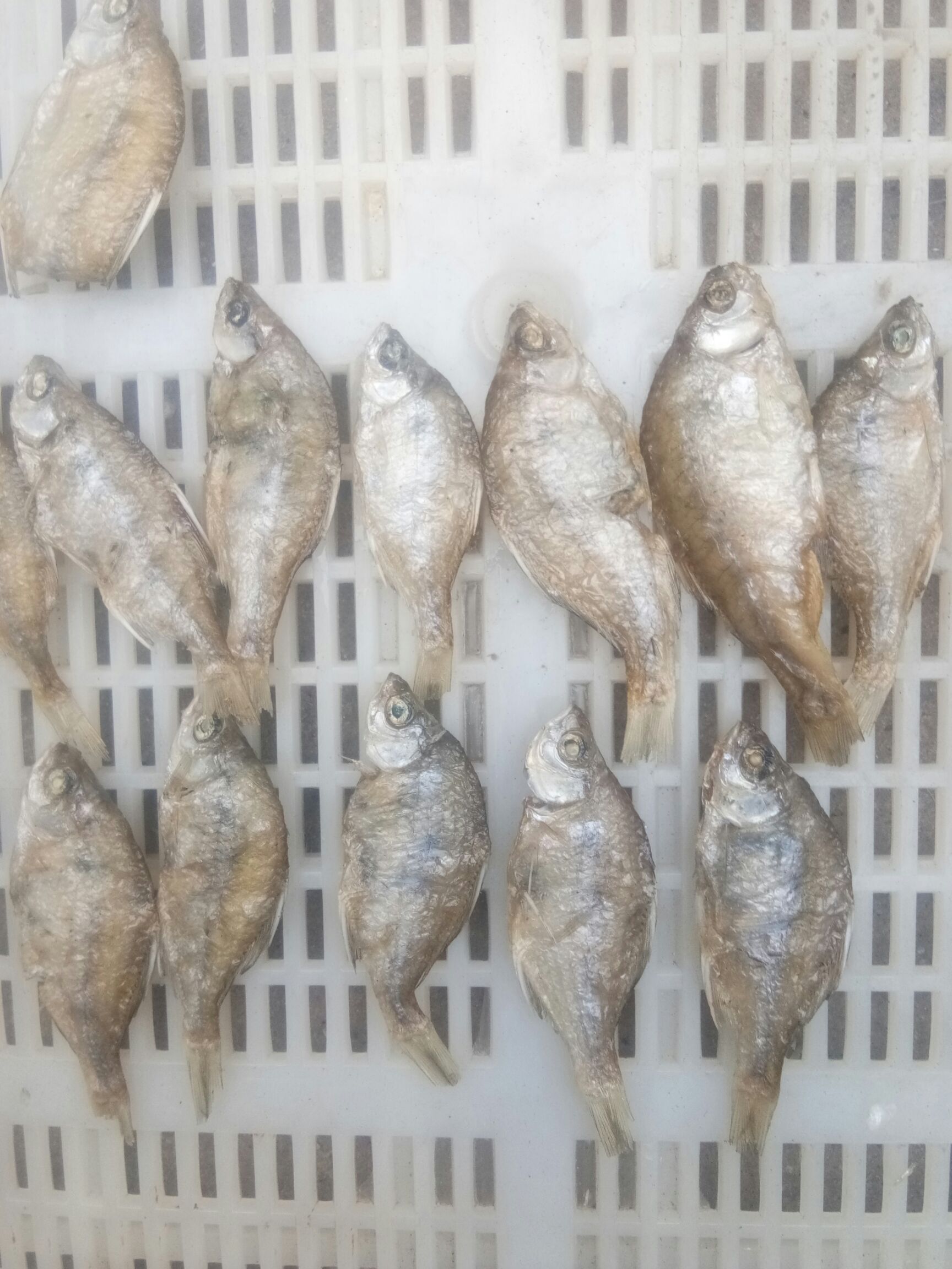 油炸徬皮魚干 油炸徬皮魚