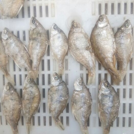 安阳油炸徬皮鱼干 油炸徬皮鱼