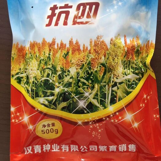 抗四高粱种  高产，杂交，抗性好