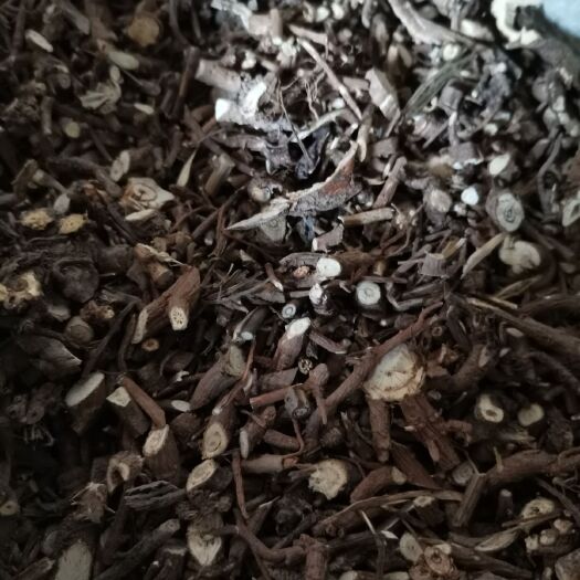 南阳柴胡切片 优质柴胡   产地直销