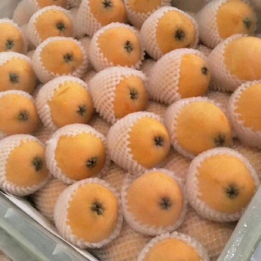 莆田 绿色食品，枇杷