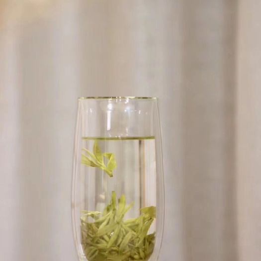 武义县 茶龙井茶高山绿茶特级明前茶