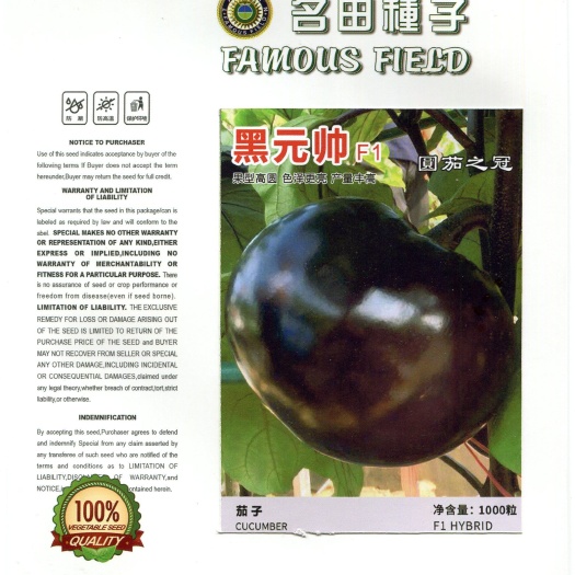 早熟个头大颜色好圆茄子种子，产量高颜色好