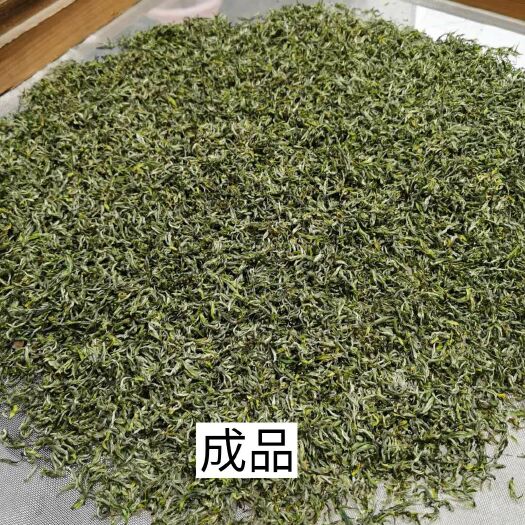 祁门县高山绿茶 祁门高山揉茶