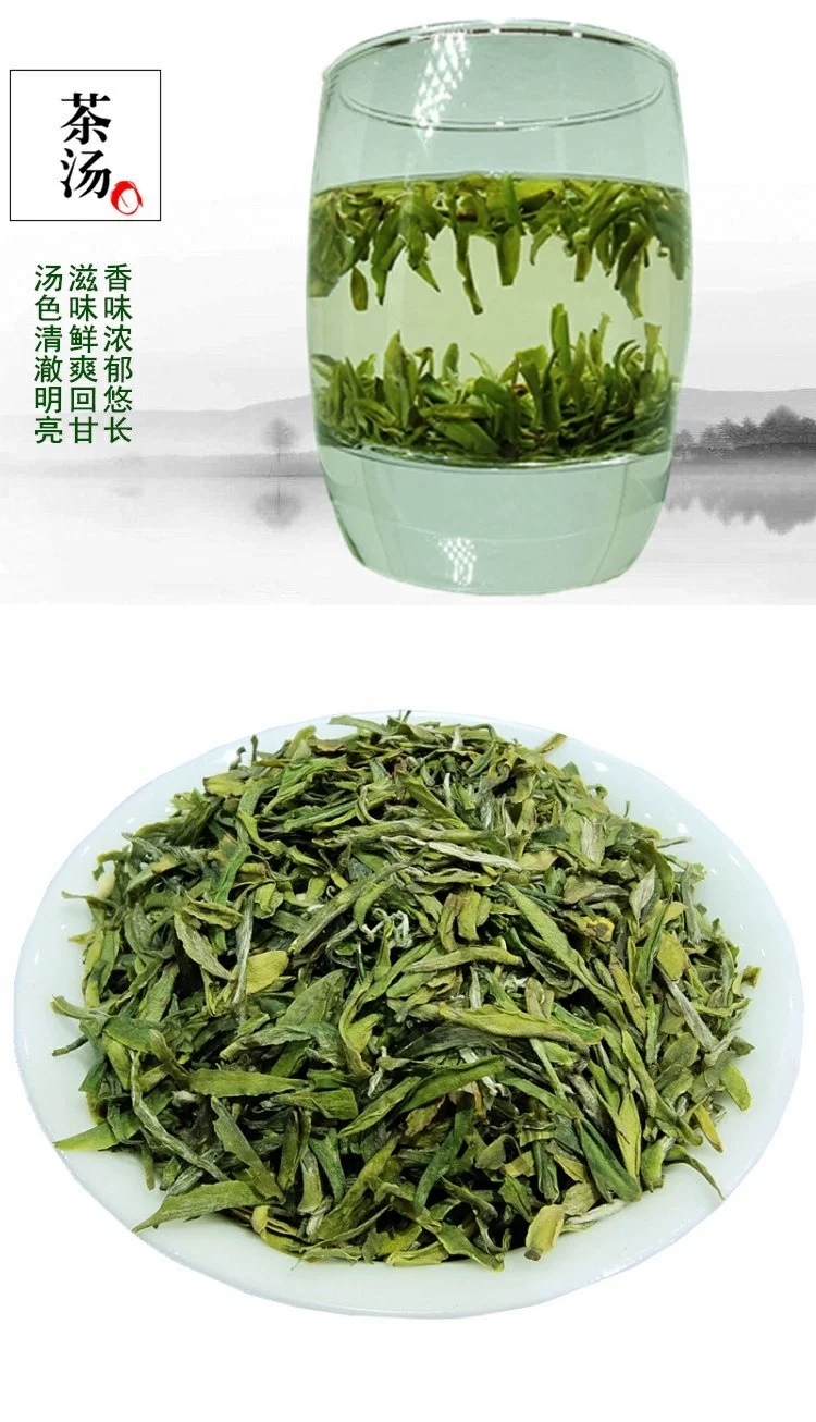 現貨2022年新茶五峰芽毛尖龍井雀舌茶尖片茶葉沫碎茶角綠茶