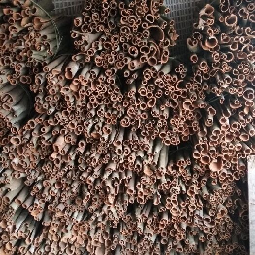 藤县 今年新鲜肉桂皮，中通干桂皮，香科桂皮。湿桂皮供应价格另商