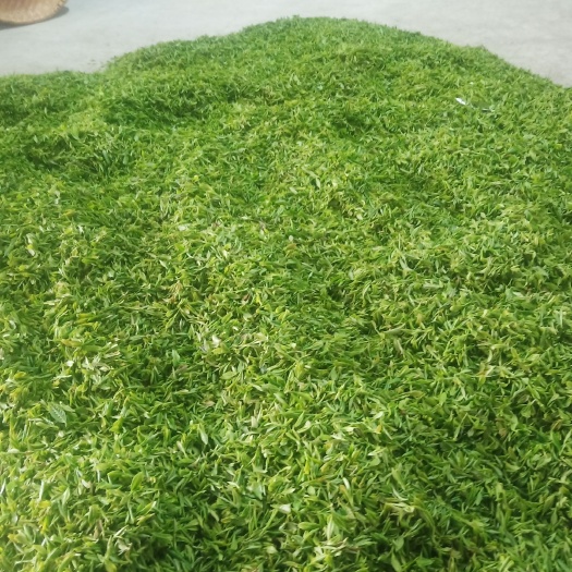 红安县高山绿茶，春茶，明前茶，雨前茶，生态茶
将军故里红安深山龙井