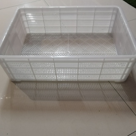 重庆市龙虾筐/塑料筐