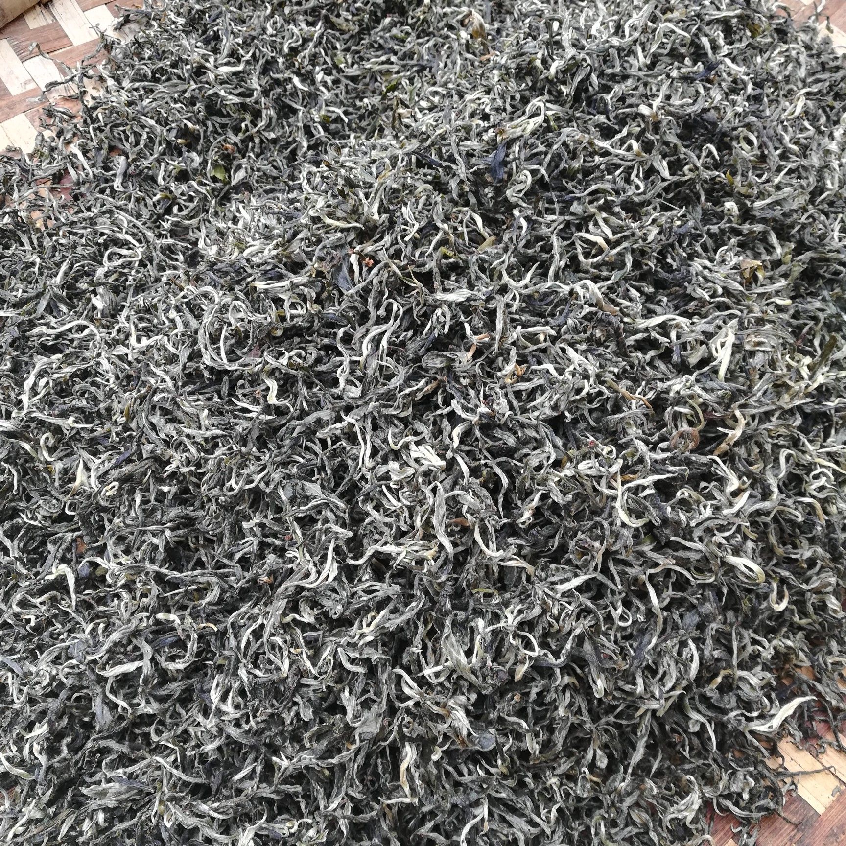 竹叶青茶 喝茶