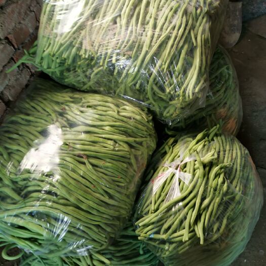 辽阳县架豆王豆角 架豆王平均20-30cm