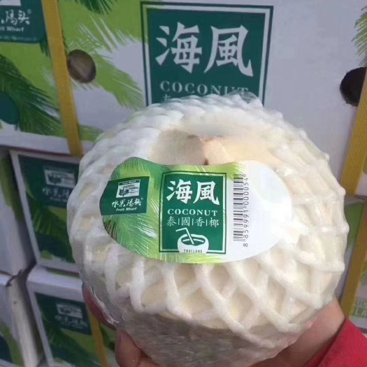 上海泰国椰青 【泰国🇹🇭椰青】新鲜到货❣
