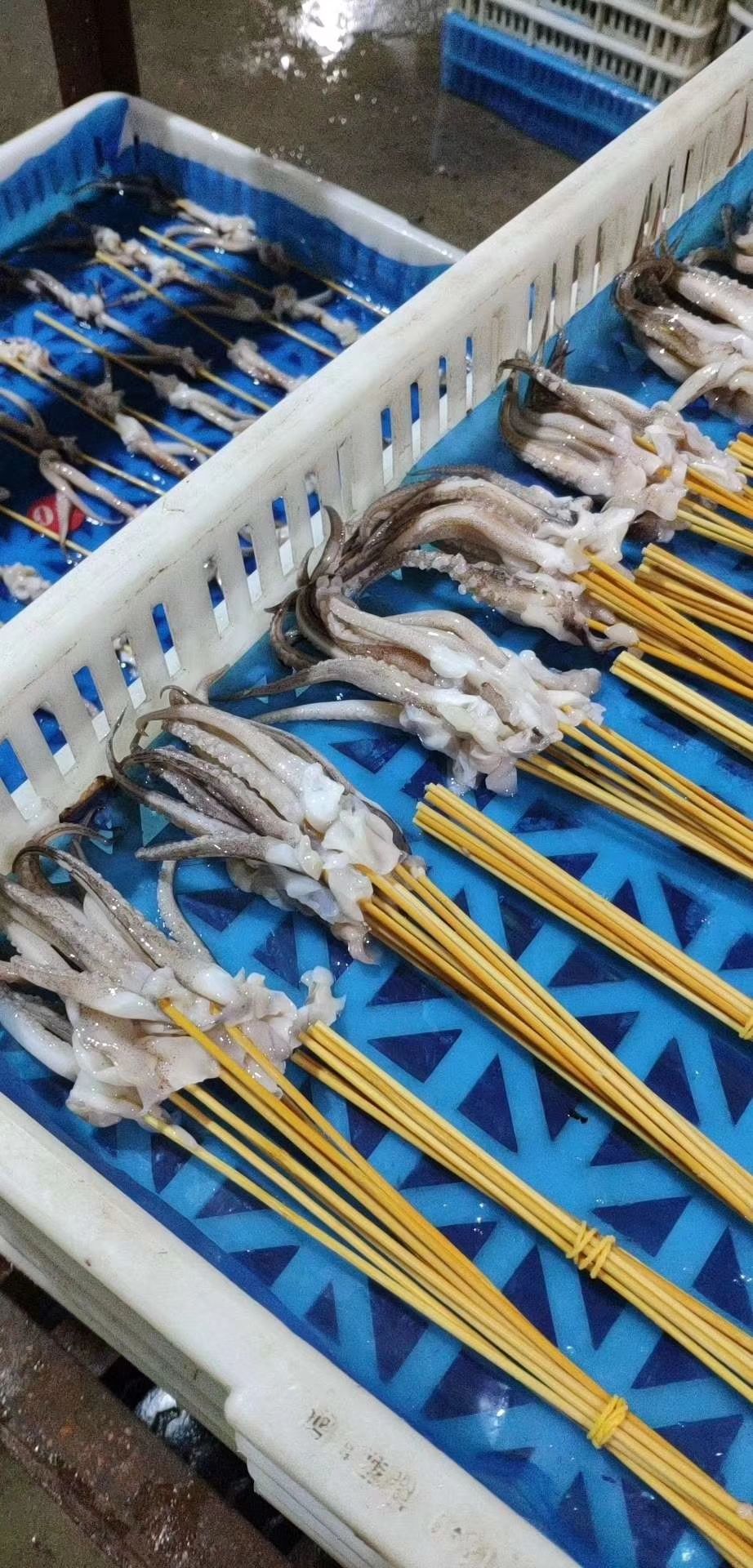  各种鱿鱼串