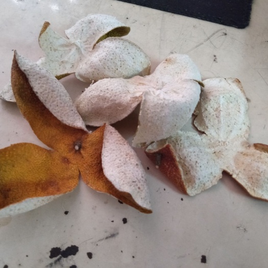 江门新干陈皮