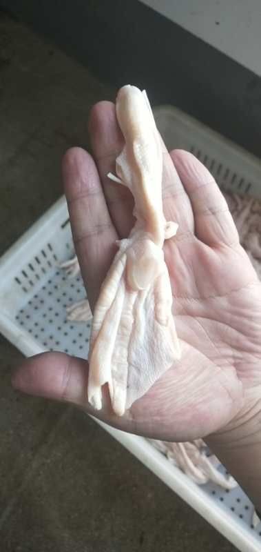 单县 去骨精修鸭掌，无碎骨  纯干