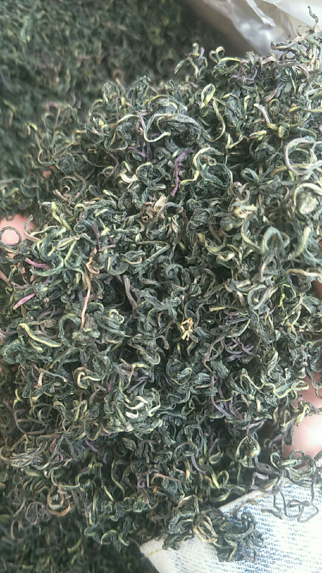 蒲公英茶 夏季热卖产品 情人下暑 10元模式