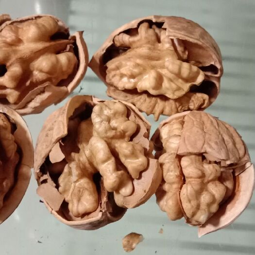 西安 新品  纸皮核桃薄皮 原味核桃