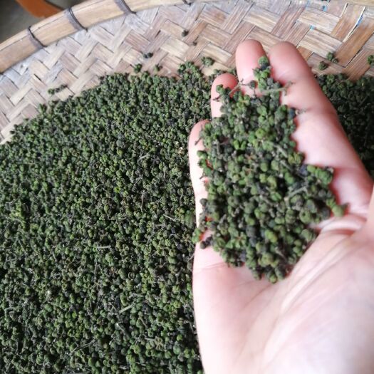 柳城县吴茱萸