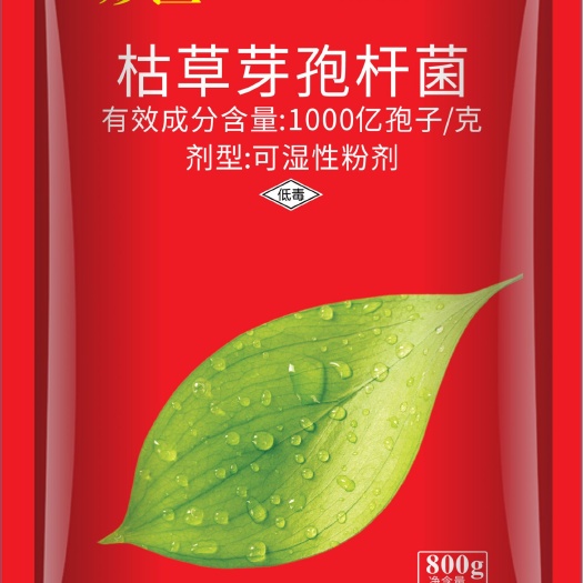 孟州市菌肥 1000亿枯草