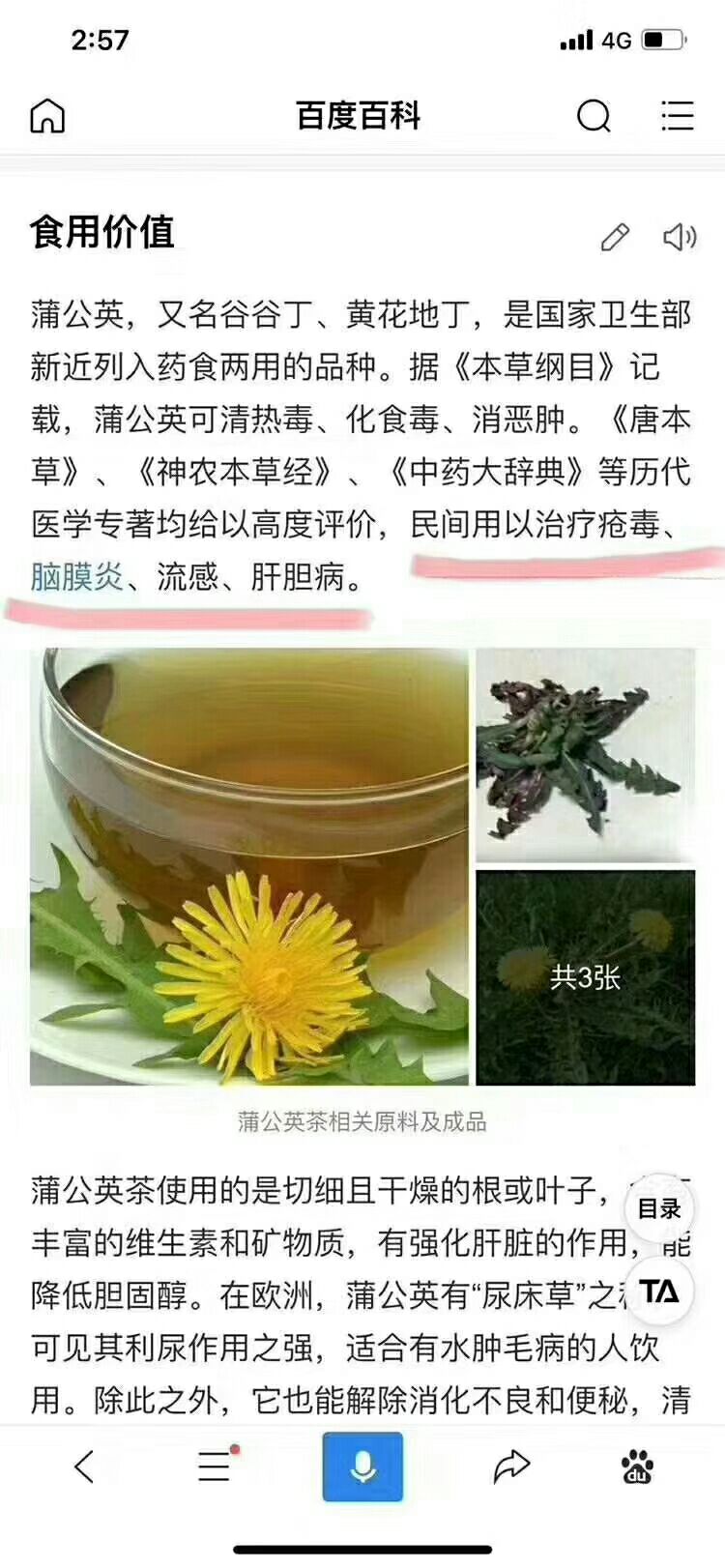 蒲公英茶 夏季热卖产品 情人下暑 10元模式