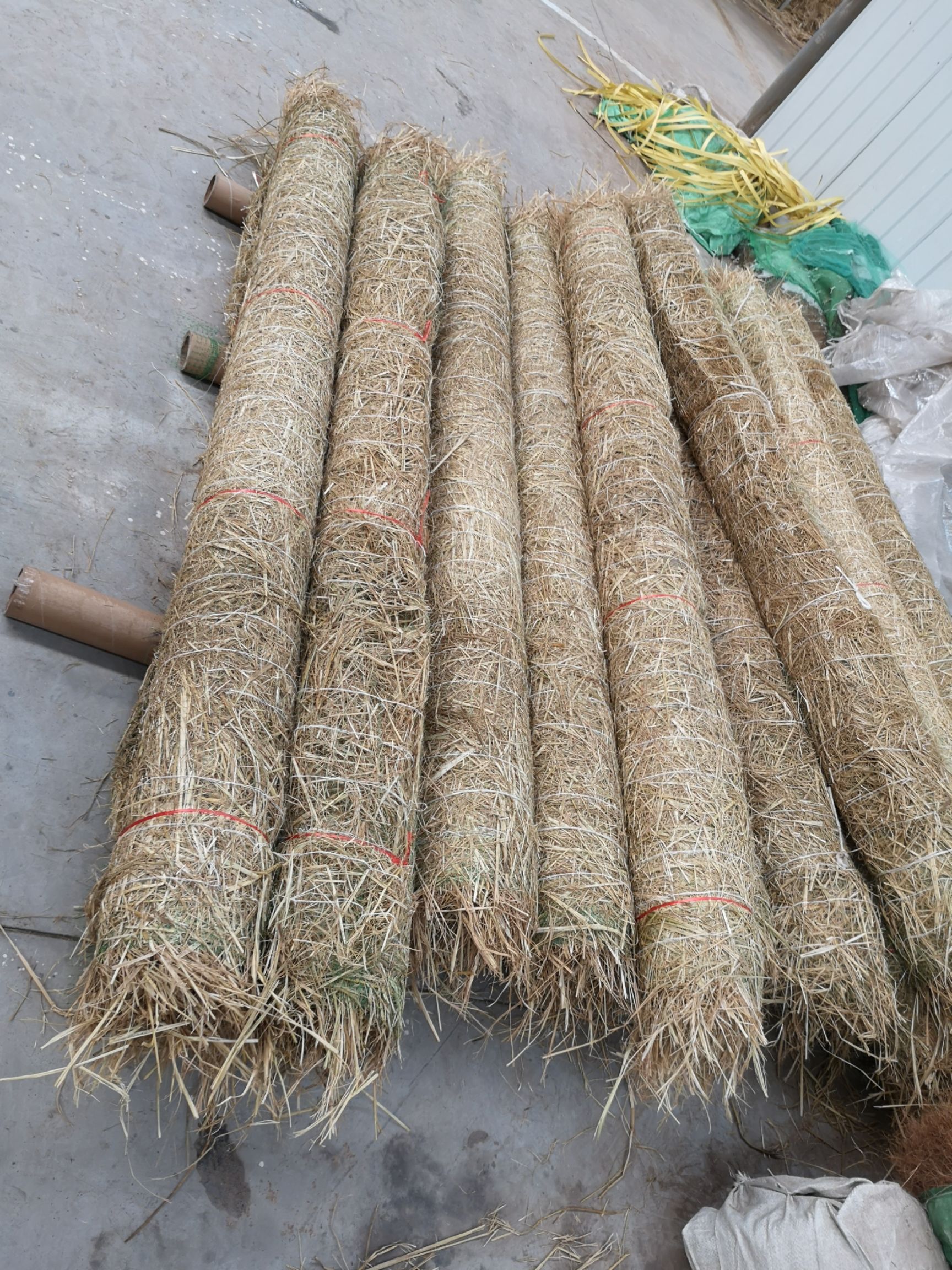 坡地毛冠草 生态毯植生毯抗冲生物毯椰丝毯  护坡绿化