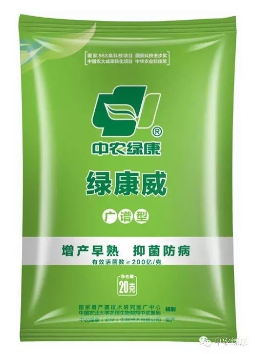 泸西县芽孢杆菌 中国农大成果转化项目