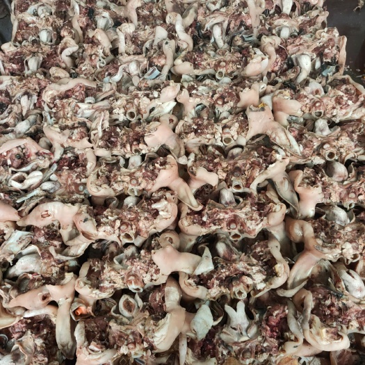 中牟县羊头  全熟羊脸