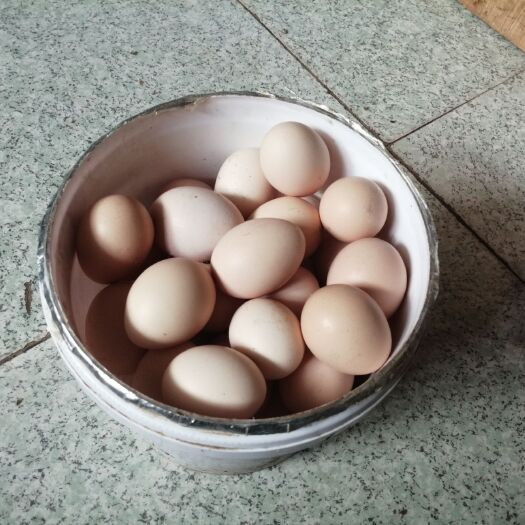 北京 自然散养柴鸡蛋土鸡蛋