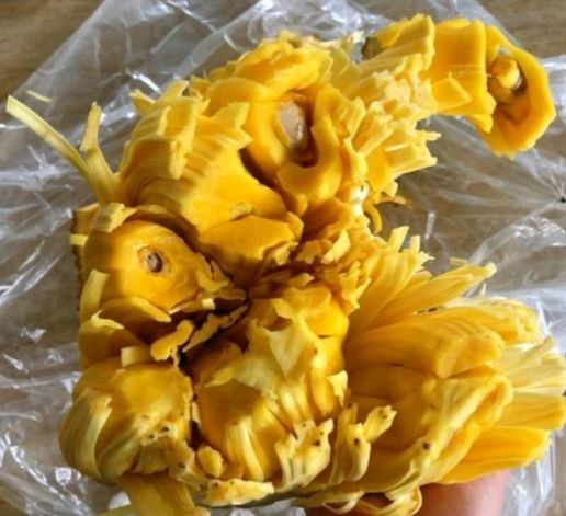 珠海 菠萝蜜
大量低价