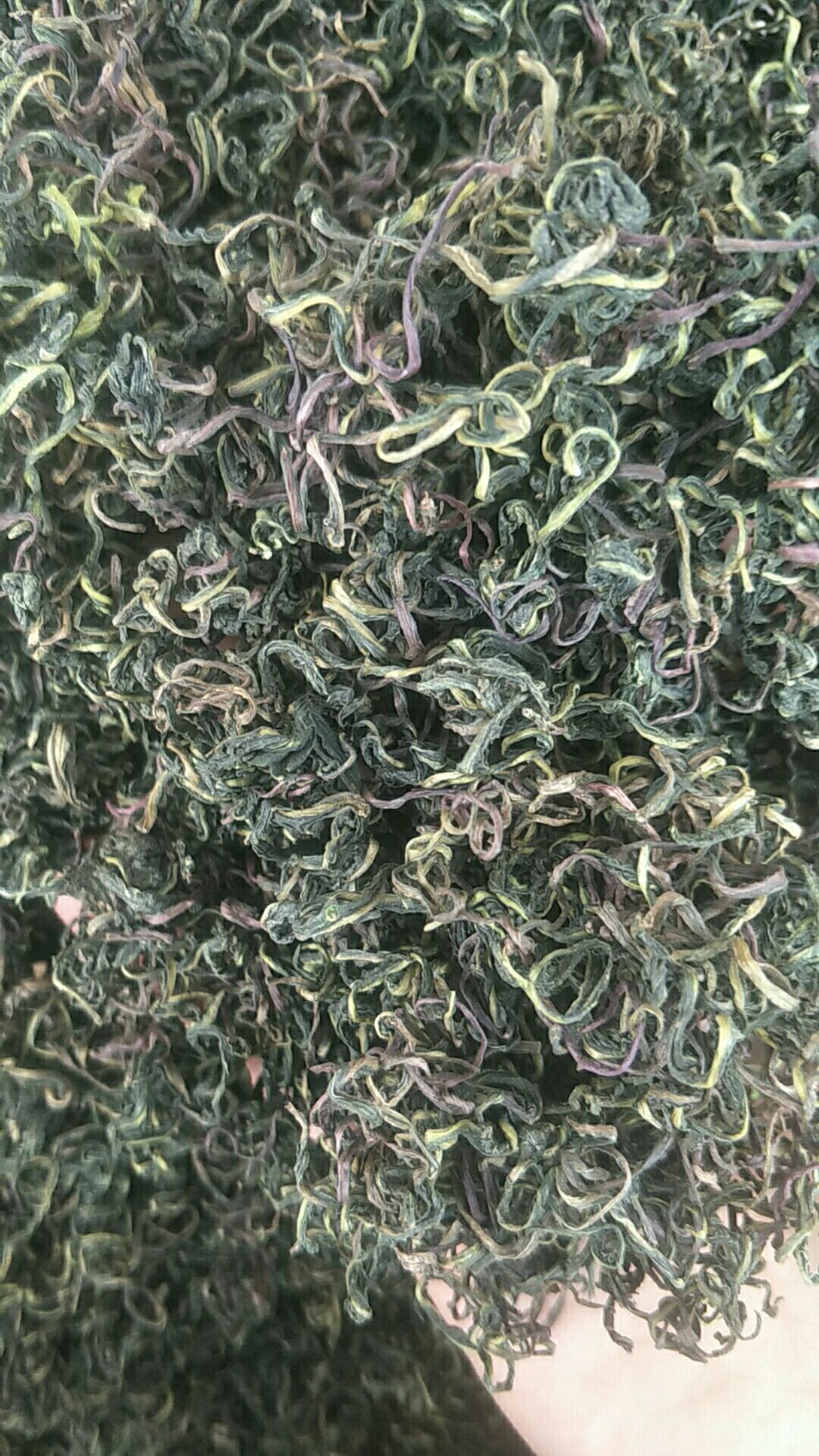 蒲公英茶 夏季热卖产品 情人下暑 10元模式