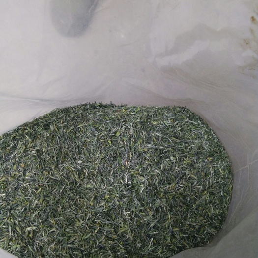 新县 现货供应天然绿茶