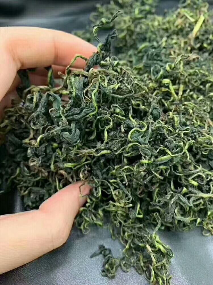 蒲公英茶 夏季热卖产品 情人下暑 10元模式