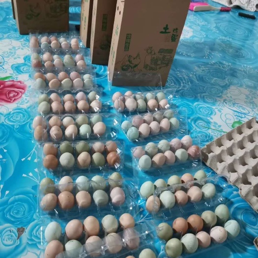 汤原县芦花鸡蛋 东北芦花鸡，自家散养，纯粮食喂养剂，肉香蛋鲜，常年销售