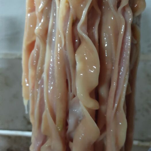 佛山 鹅肠 新鲜鹅肠 冰鲜打包  火锅必备