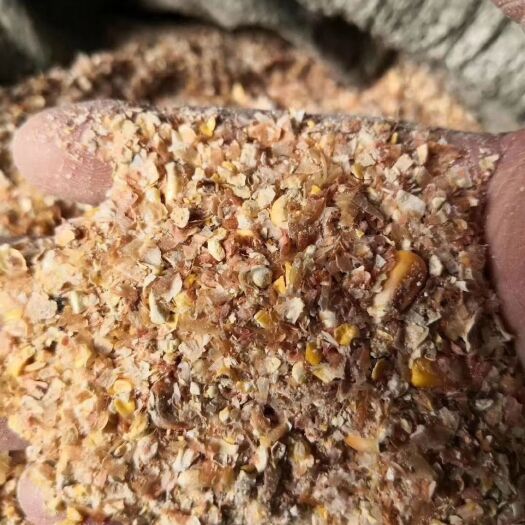 石家庄本地碎玉米净梁，好不好看容量
