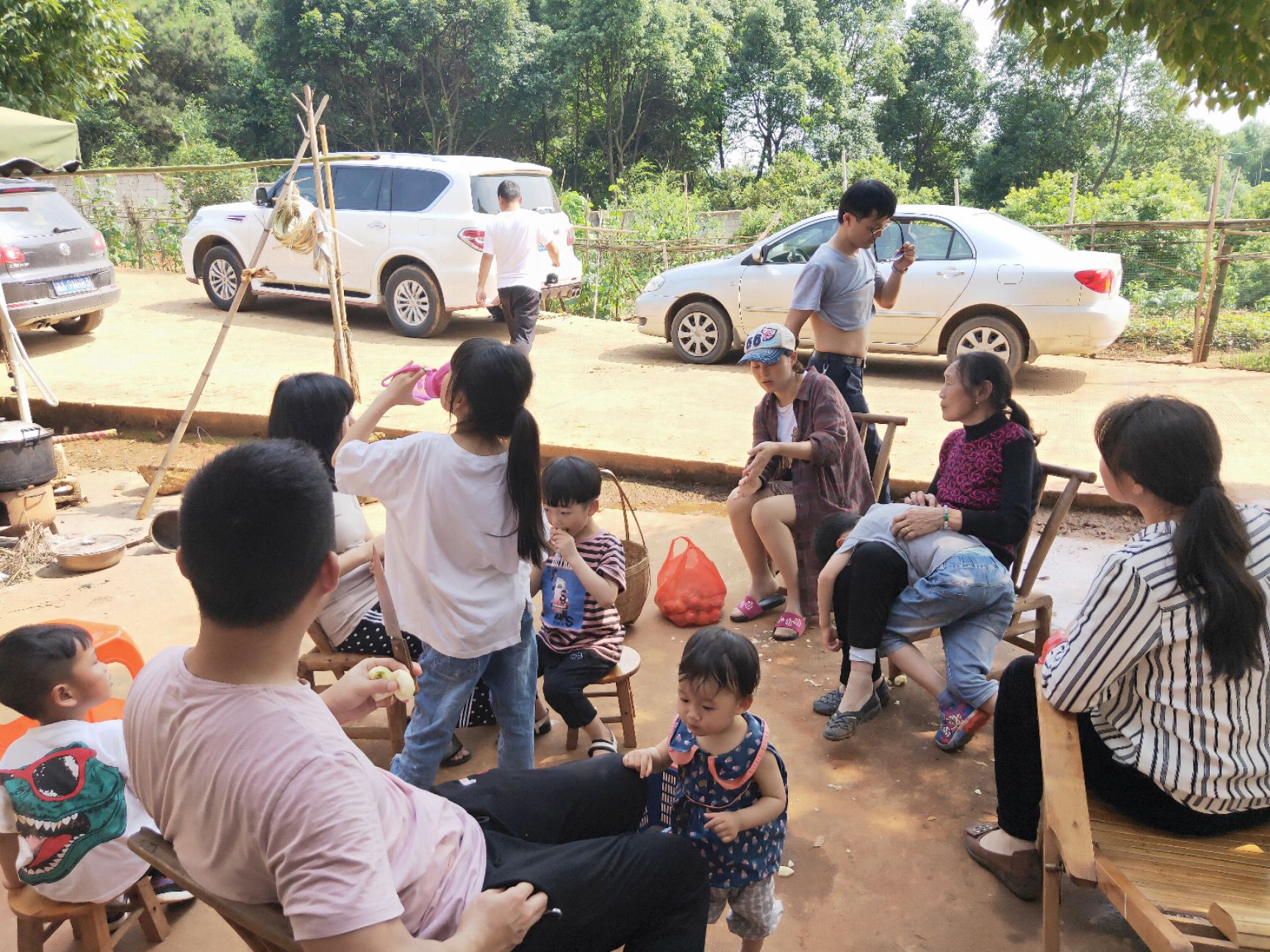 东魁杨梅  宁乡花明楼百亩乌梅基地